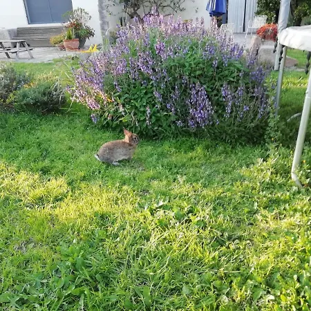 Hébergement de vacances Mas Font